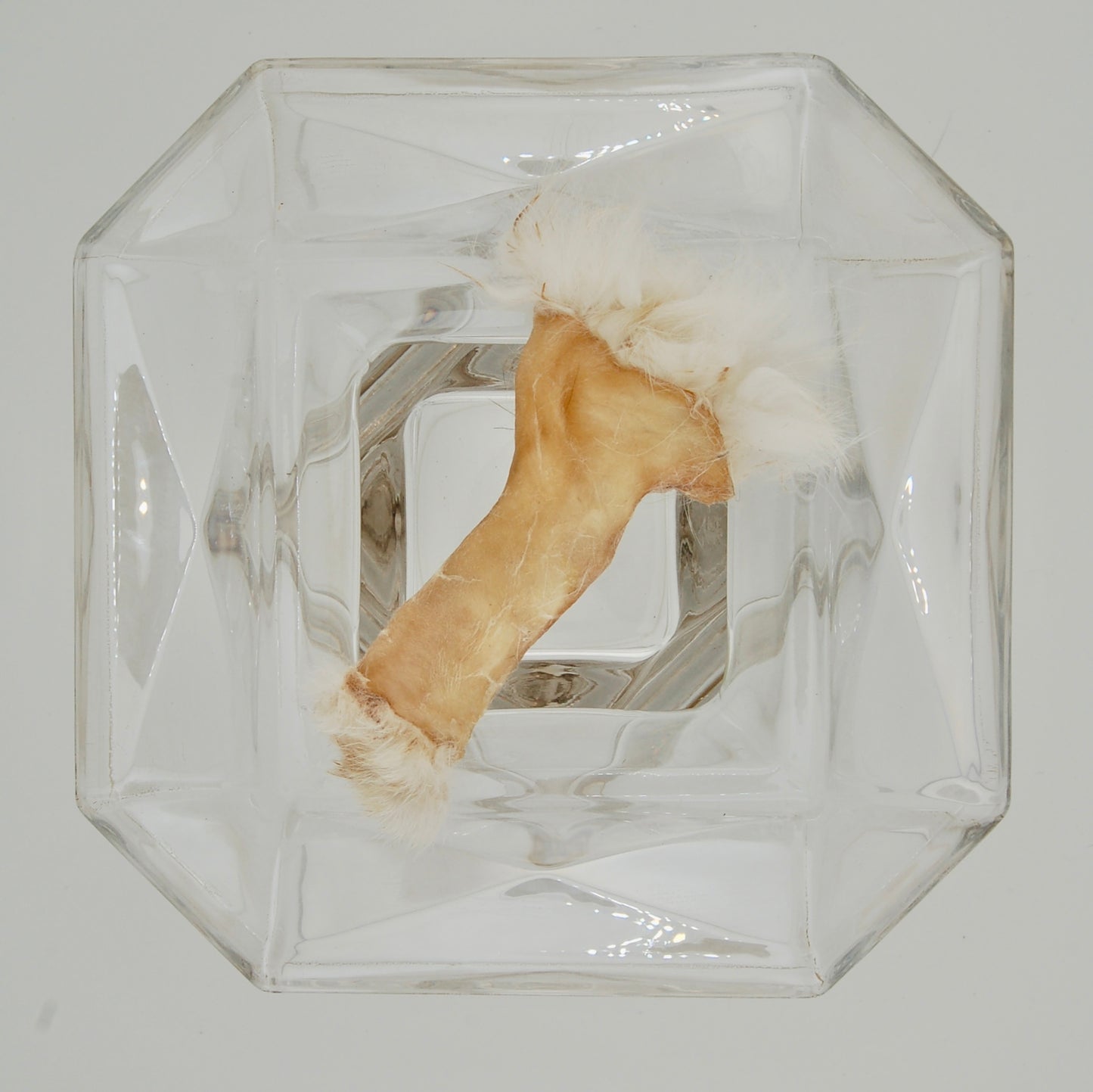 Dehydrated Rabbit Hide Chew Small