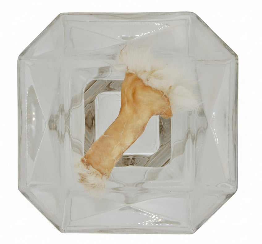 Dehydrated Rabbit Hide Chews