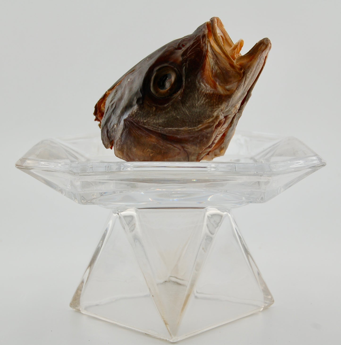 Dehydrated Small Fish Heads - Pompano