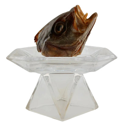 Dehydrated Triggerfish Heads