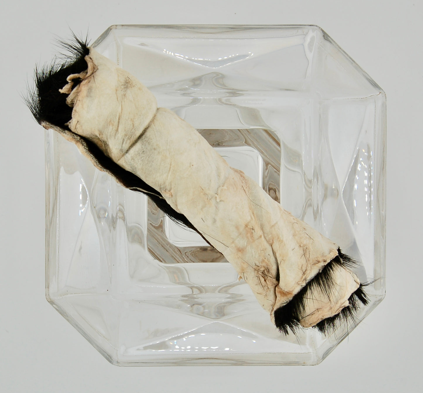 Dehydrated Goat Hide Chew Large