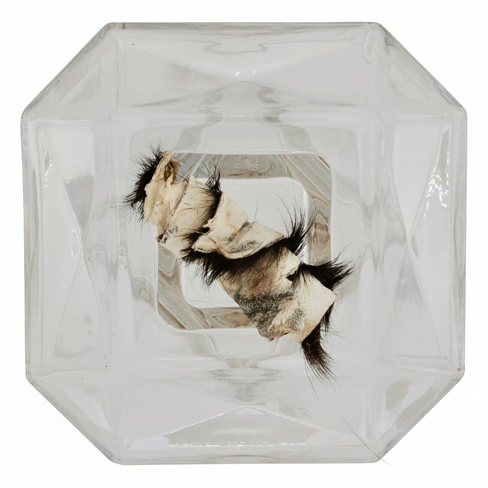 Dehydrated Goat Hide Chew Small