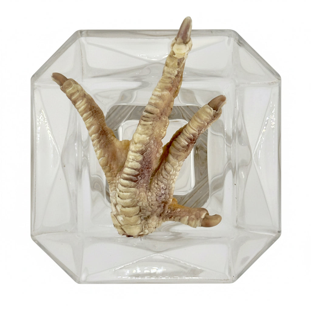 Freeze-Dried Turkey Foot