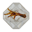 Dehydrated Chicken Feet