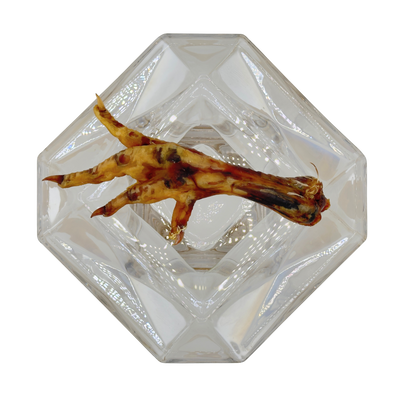 Dehydrated Chicken Feet