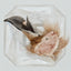 Freeze-Dried Goat Ear with Hair