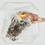 Freeze-Dried Duck Head with Feathers