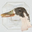 Freeze-Dried Duck Head with Feathers