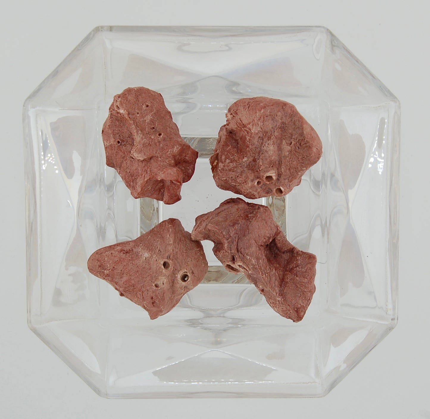 Freeze-Dried Goat Lung