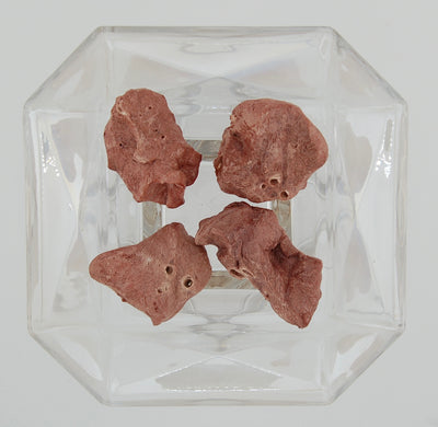 Freeze-Dried Goat Lung