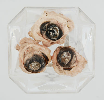 Freeze-Dried Beef Eyeballs