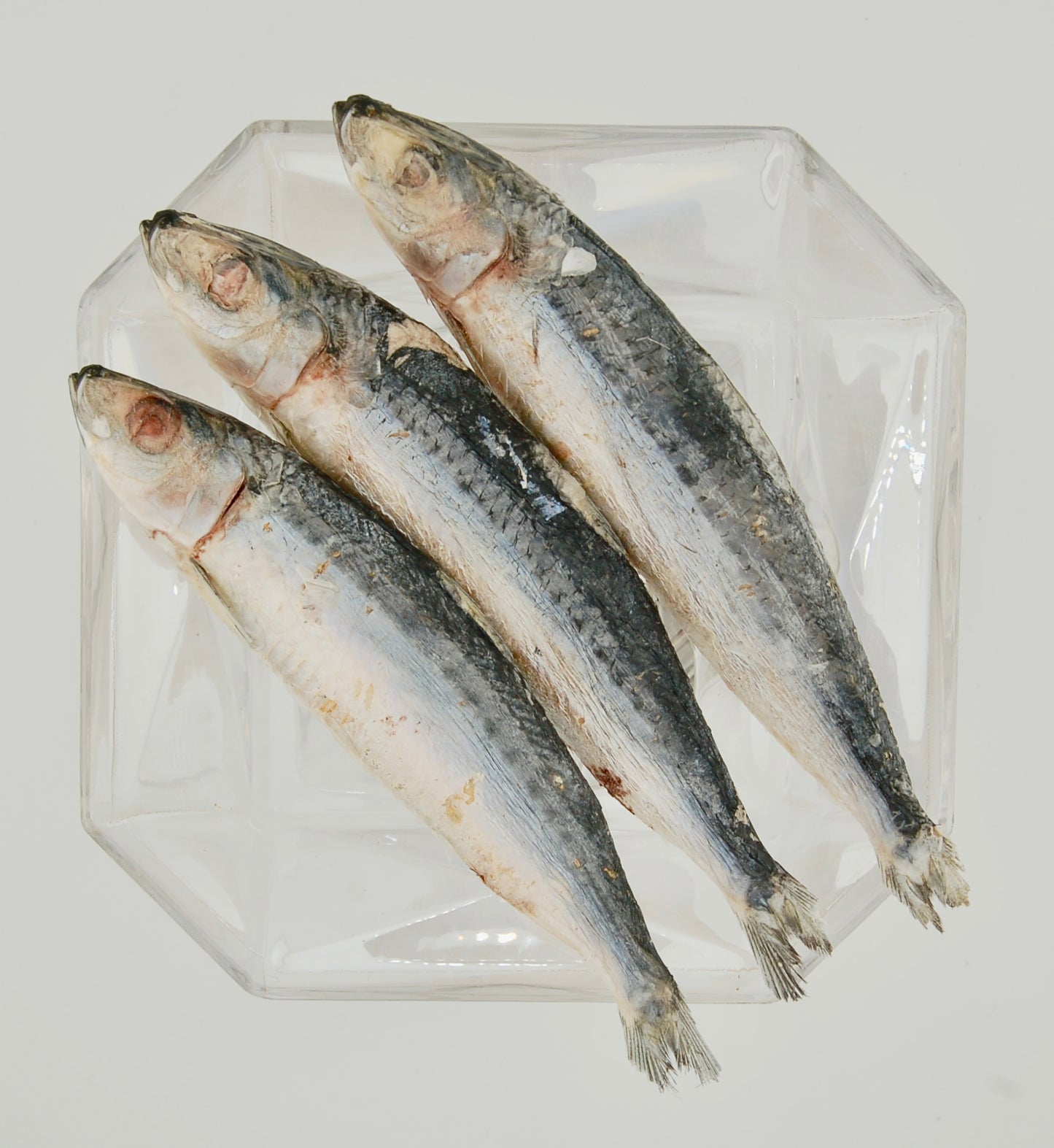 Freeze-Dried Sardines