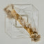 Dehydrated Rabbit Hide Chew Large