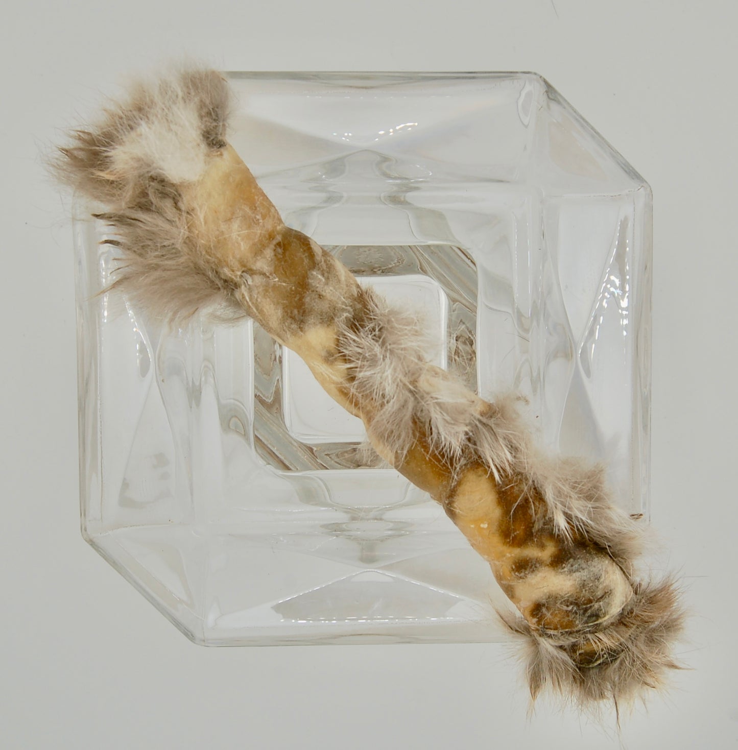 Dehydrated Rabbit Hide Chew Large