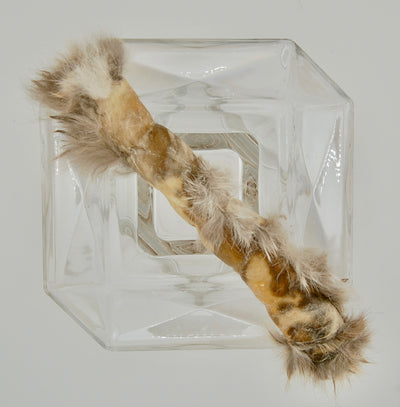 Dehydrated Rabbit Hide Chew Large