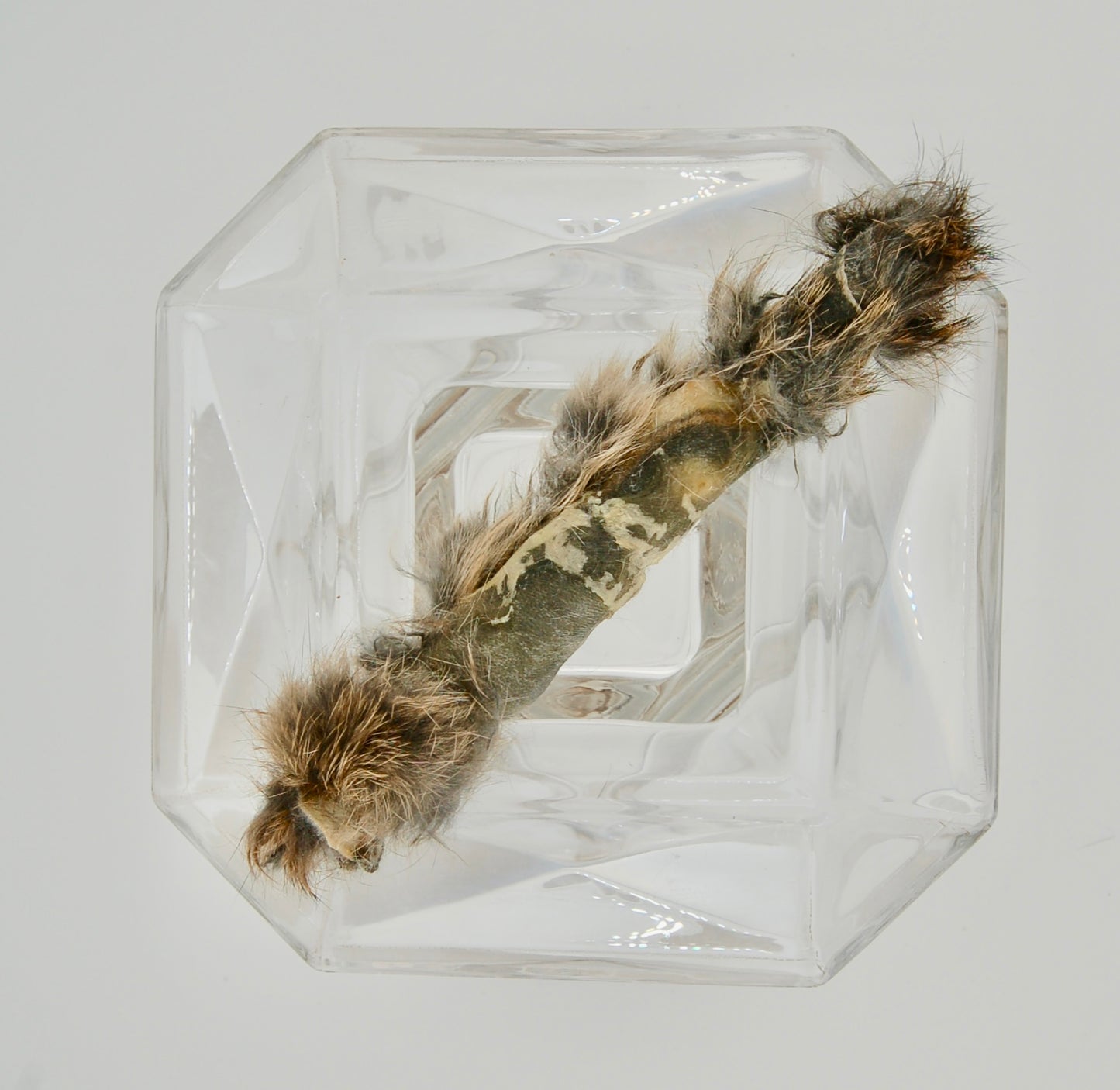Dehydrated Rabbit Hide Chew Medium