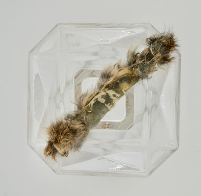 Dehydrated Rabbit Hide Chew Medium