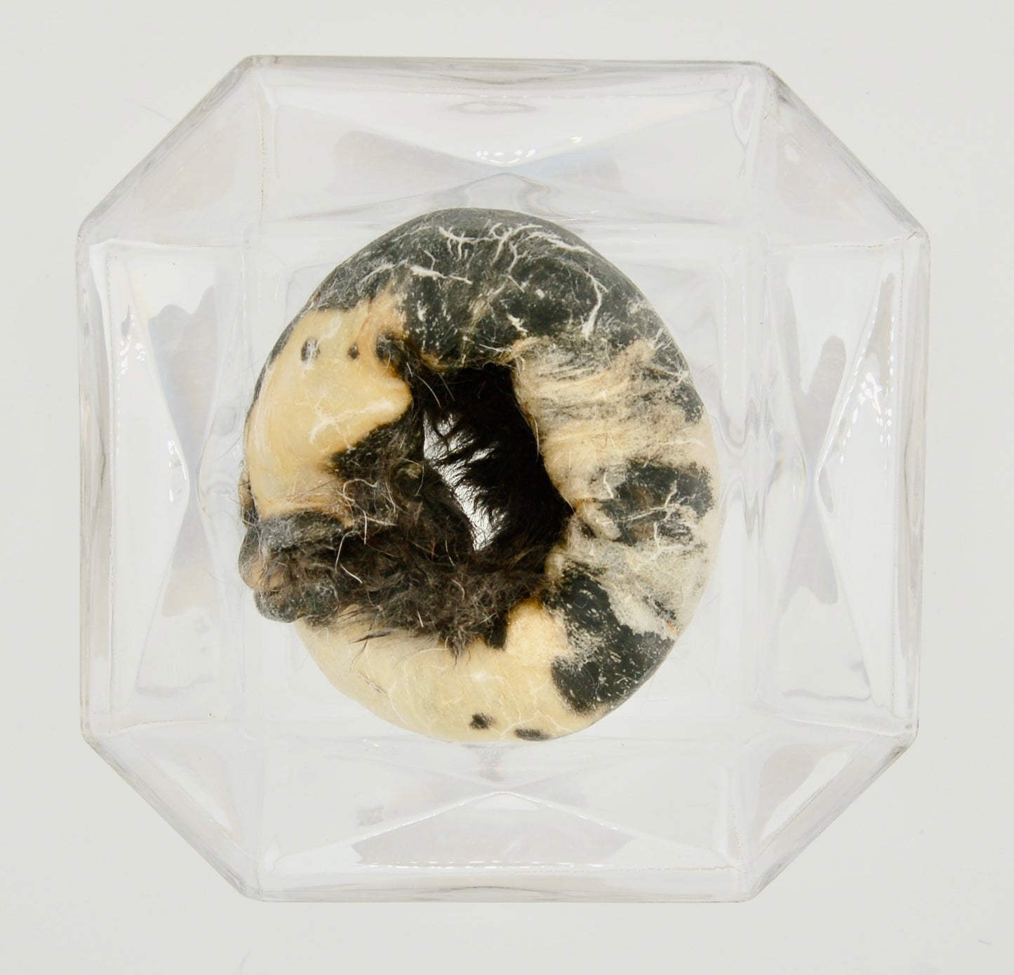Dehydrated Rabbit Hide Chew Large