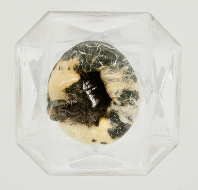 Dehydrated Rabbit Hide Chew Large