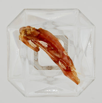 Dehydrated Turkey Wing Tips