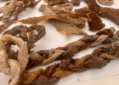 Dehydrated Beef Tripe Sticks