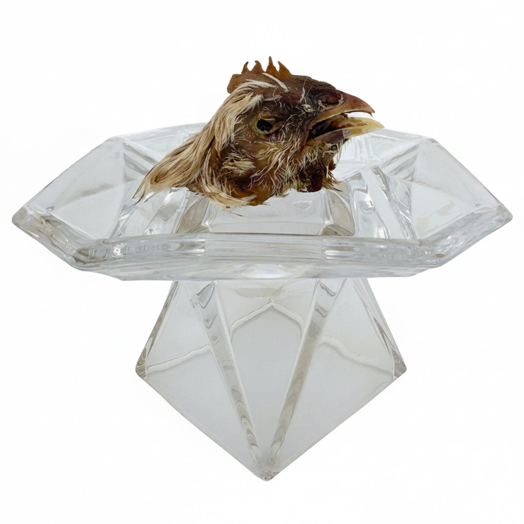 Dehydrated Chicken Heads