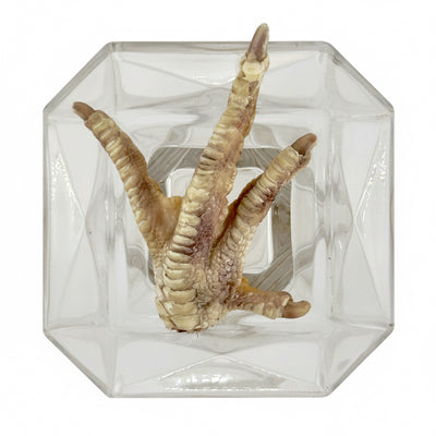 Freeze-Dried Turkey Foot